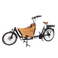 2 wheel cargo bike