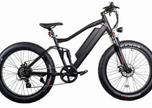 electric bike