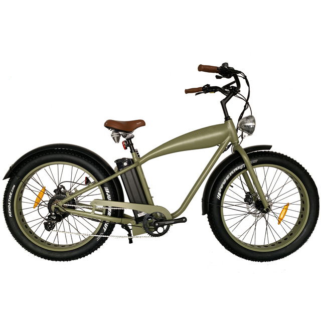 Electric Bike